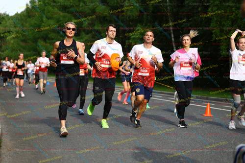 5785, 5035, 5545, 5546