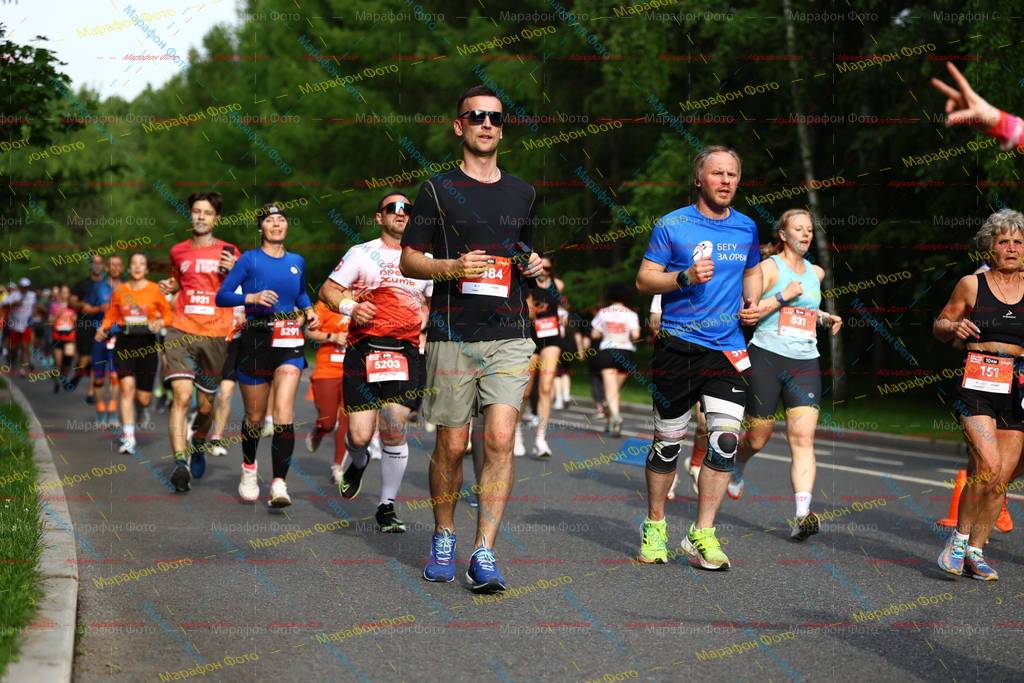 384, 531, 5291, 151, 5203