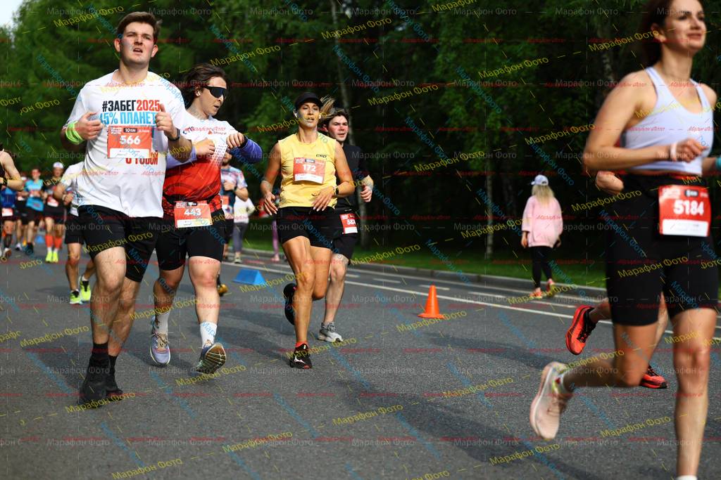 2025, 172, 5184, 443