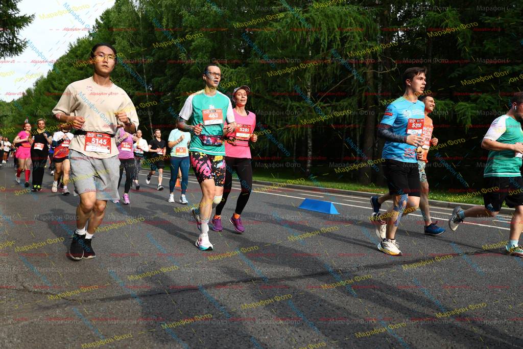 5310, 5145, 463, 5285