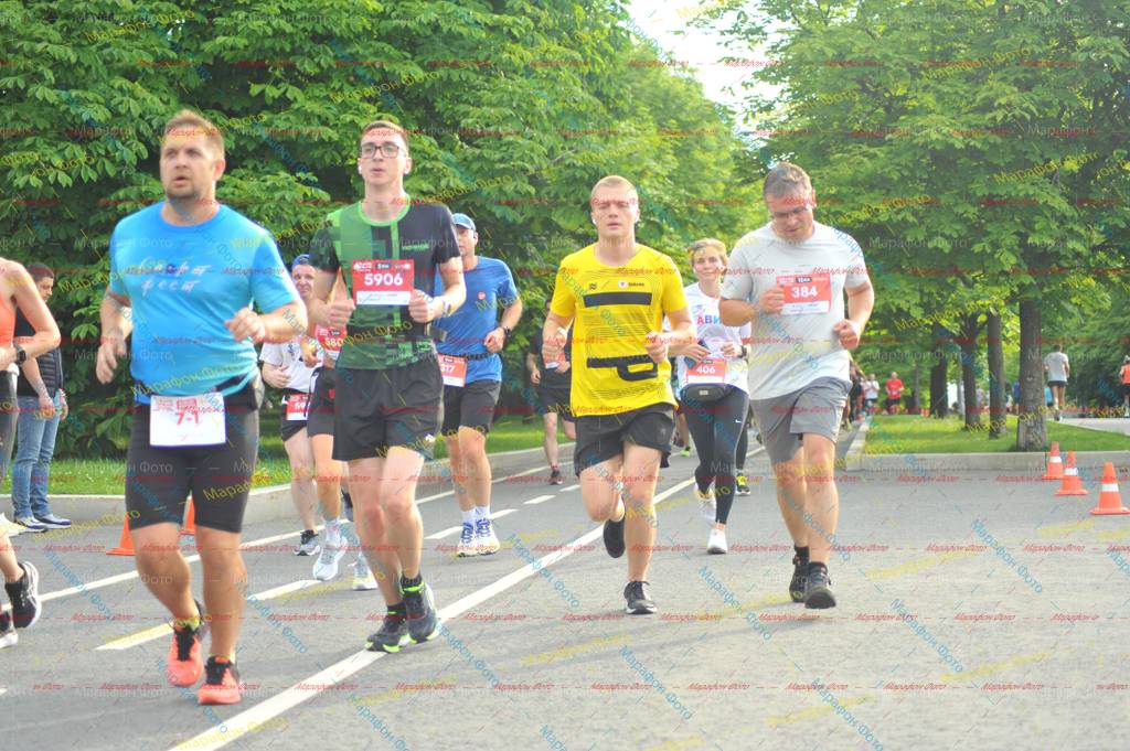 71, 384, 5906, 317, 406, 580