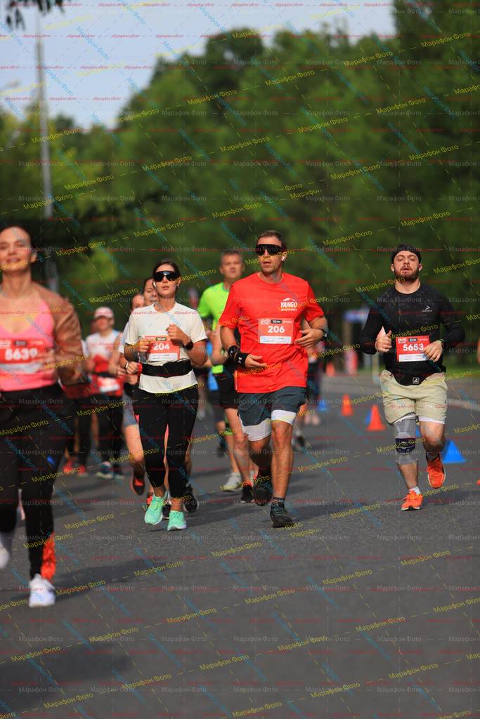 206, 5653, 204, 5630