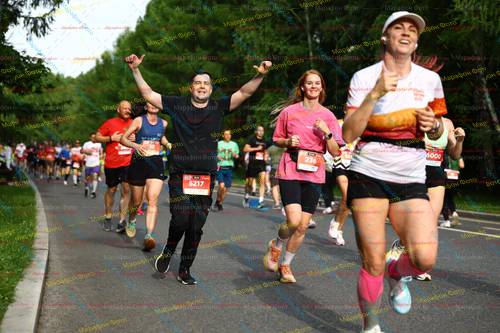 236, 6000, 10, 5217, 5