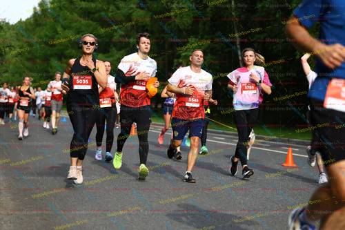 5785, 5545, 5035, 5546