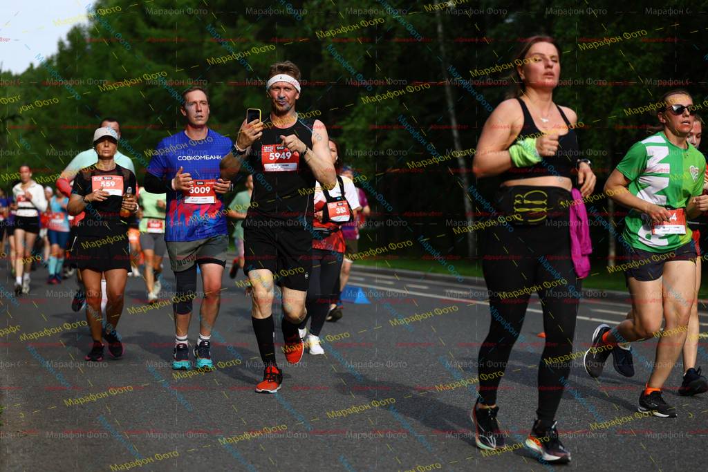 559, 5949, 3009, 352