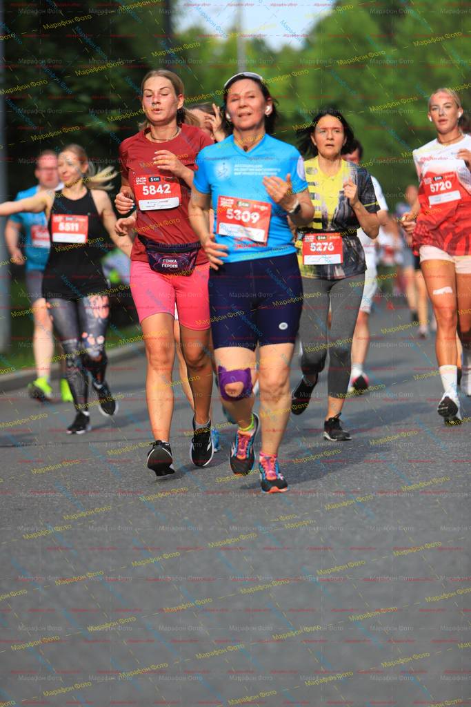 5309, 5842, 5276, 5720