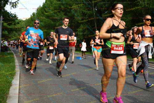 237, 2024, 525, 5632, 303