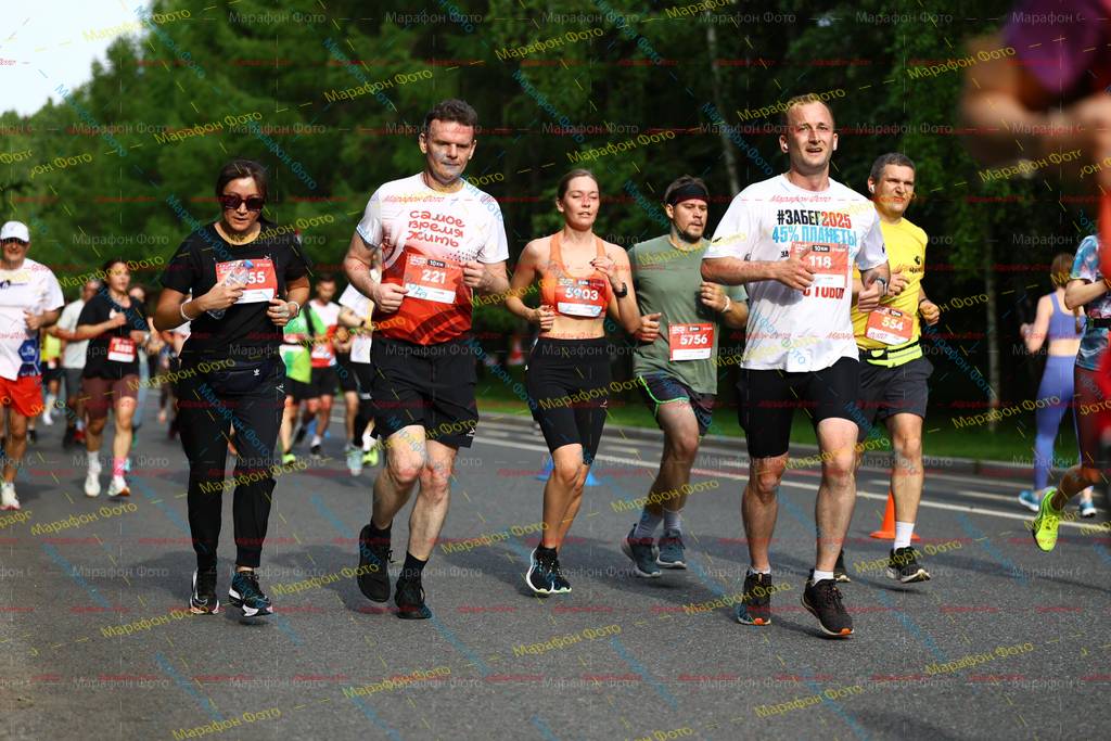 2025, 55, 221, 5903, 5756