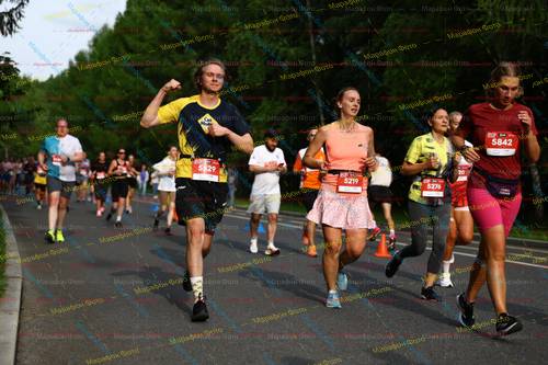 5219, 5276, 5842, 5529