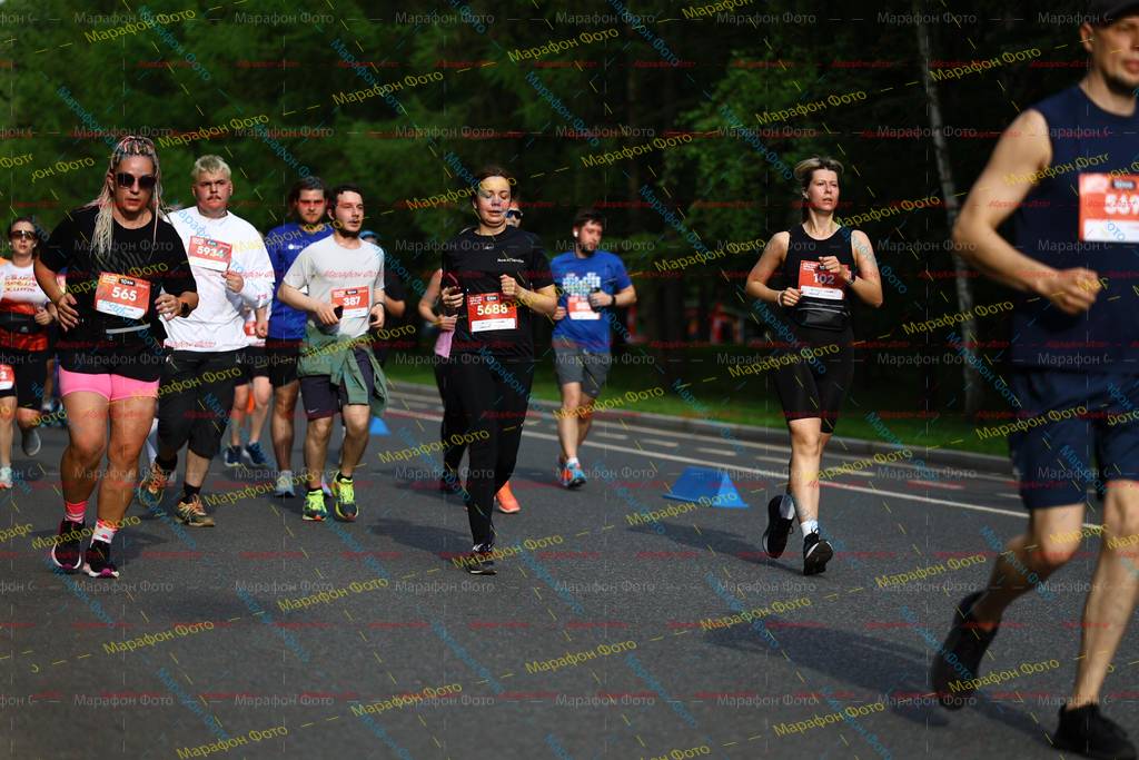 102, 387, 565, 5934, 5688, 569