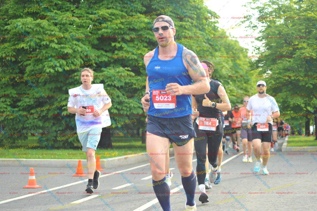 509, 2025, 5023, 184