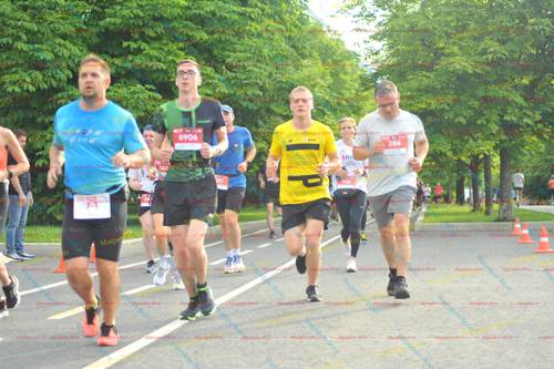 71, 384, 5906, 317, 406, 580