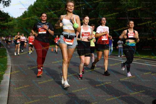 5338, 337, 5177, 5841, 5225