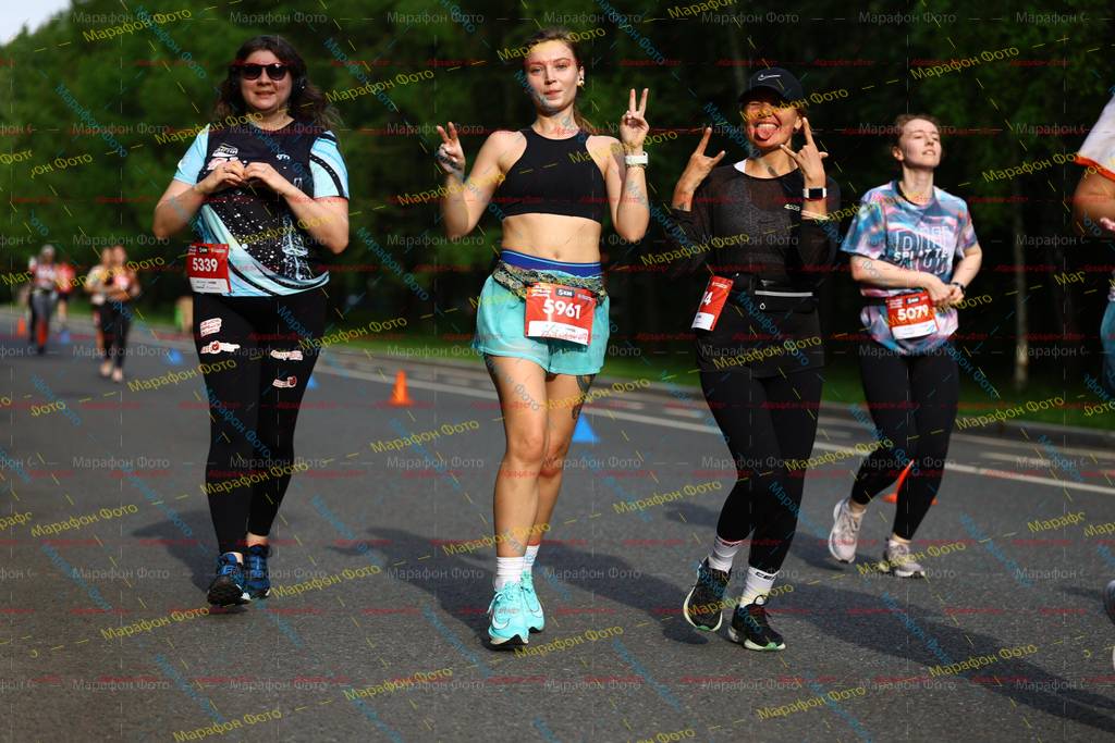 5079, 5339, 5961, 4505