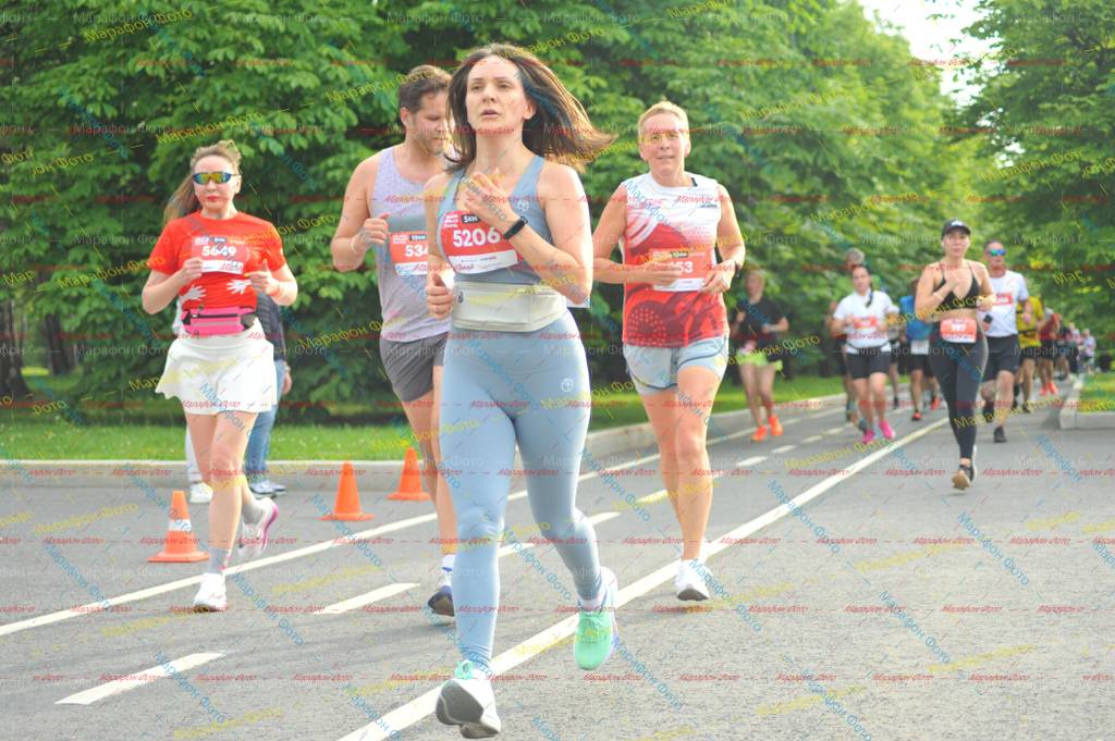 5649, 153, 5206, 534