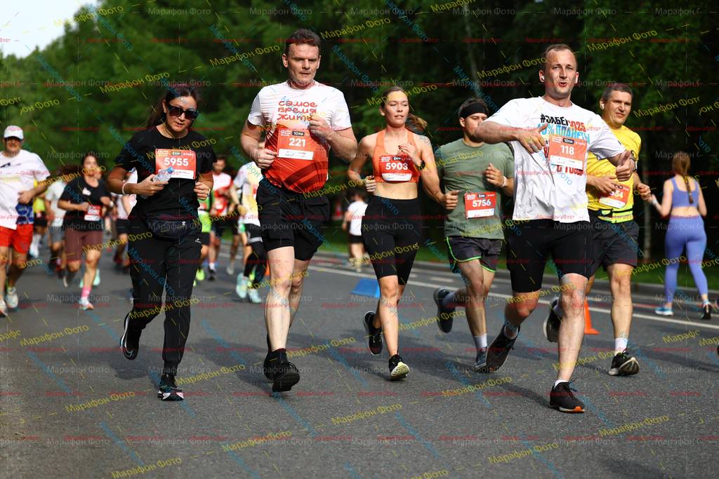 5955, 5903, 221, 118