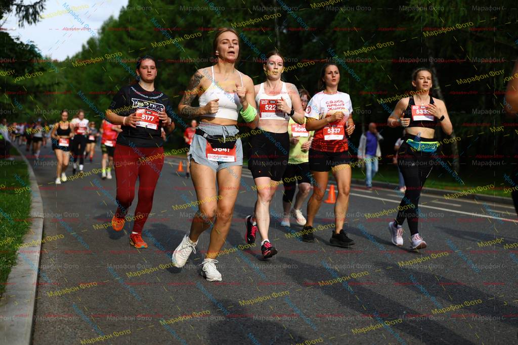 533, 5337, 5177, 522