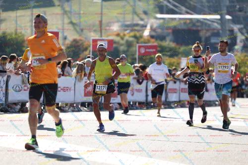 290, 13171, 1264, 5551, 11793