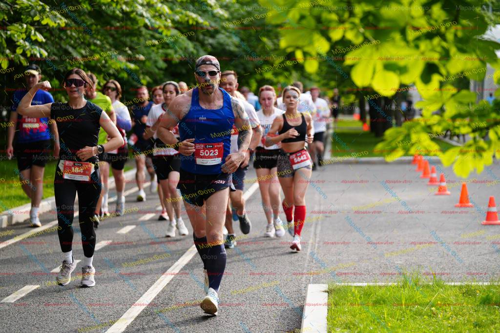 184, 5023, 5953, 5642