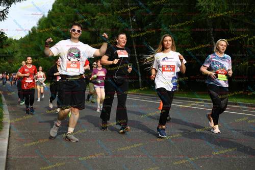 5499, 5169, 408, 5651