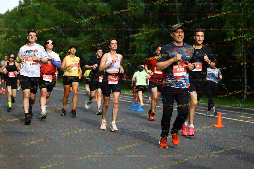 2025, 5184, 603, 8, 9609