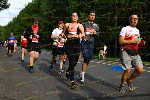 10, 5831, 5633, 5160, 5832