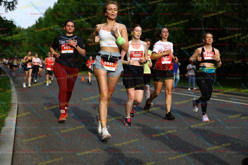 5338, 337, 5177, 5841, 5225