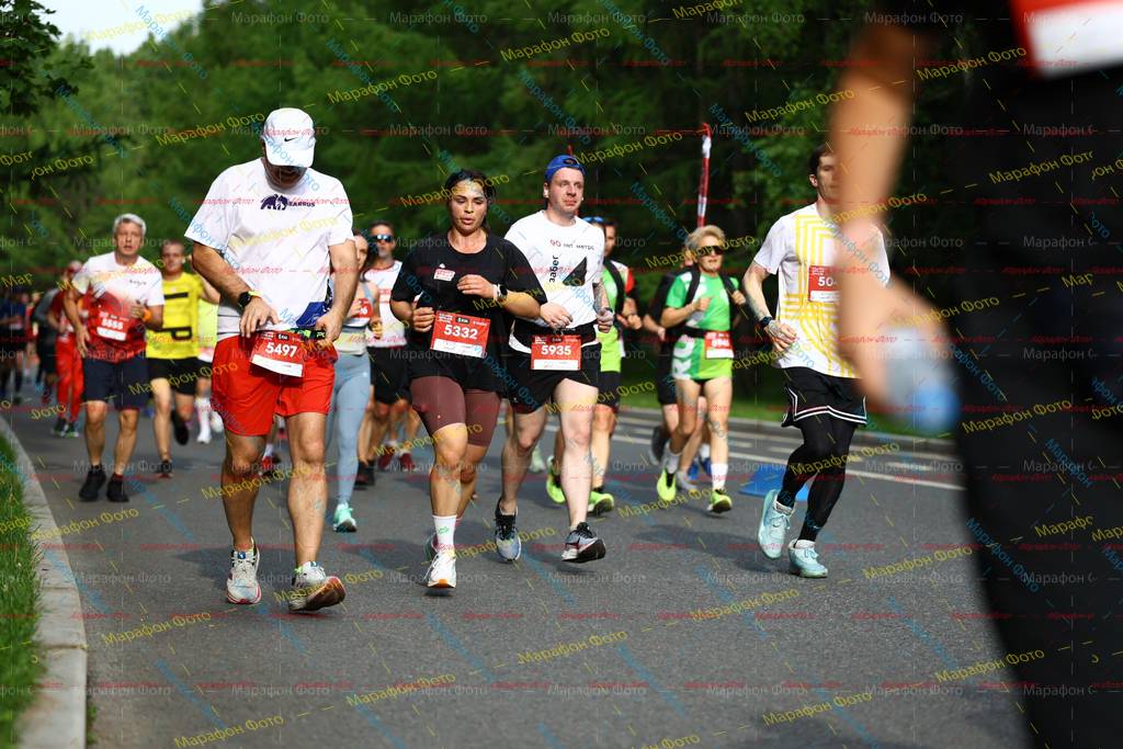 5497, 5332, 5935, 50