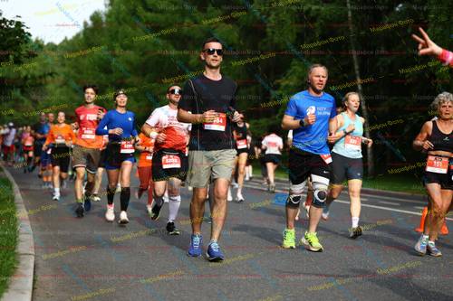 384, 531, 5291, 151, 5203