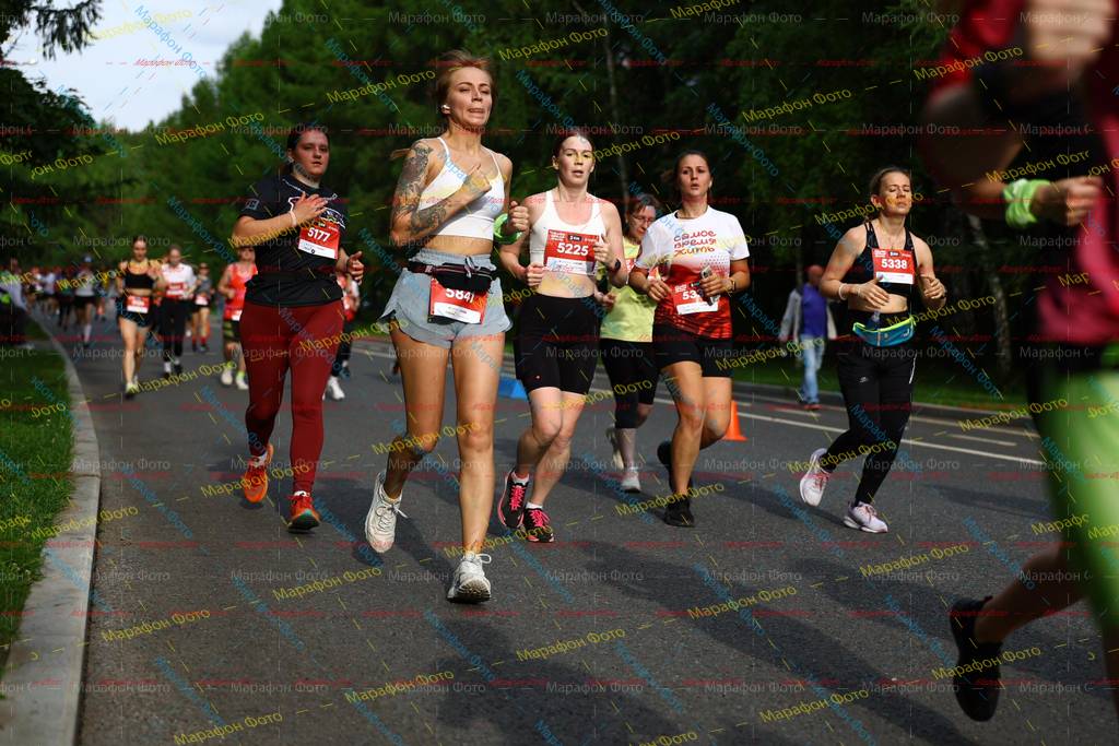 5338, 5641, 5225, 5177