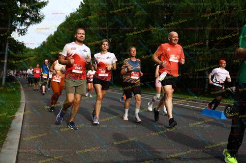 493, 5697, 5676, 5691, 5290