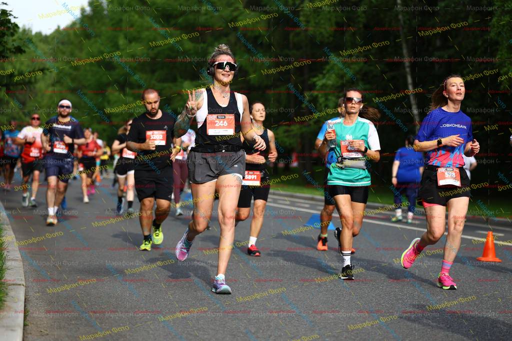 578, 246, 3202, 5891