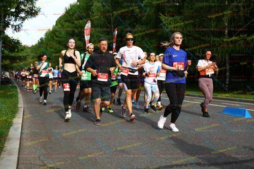 254, 5538, 5440, 5033, 601