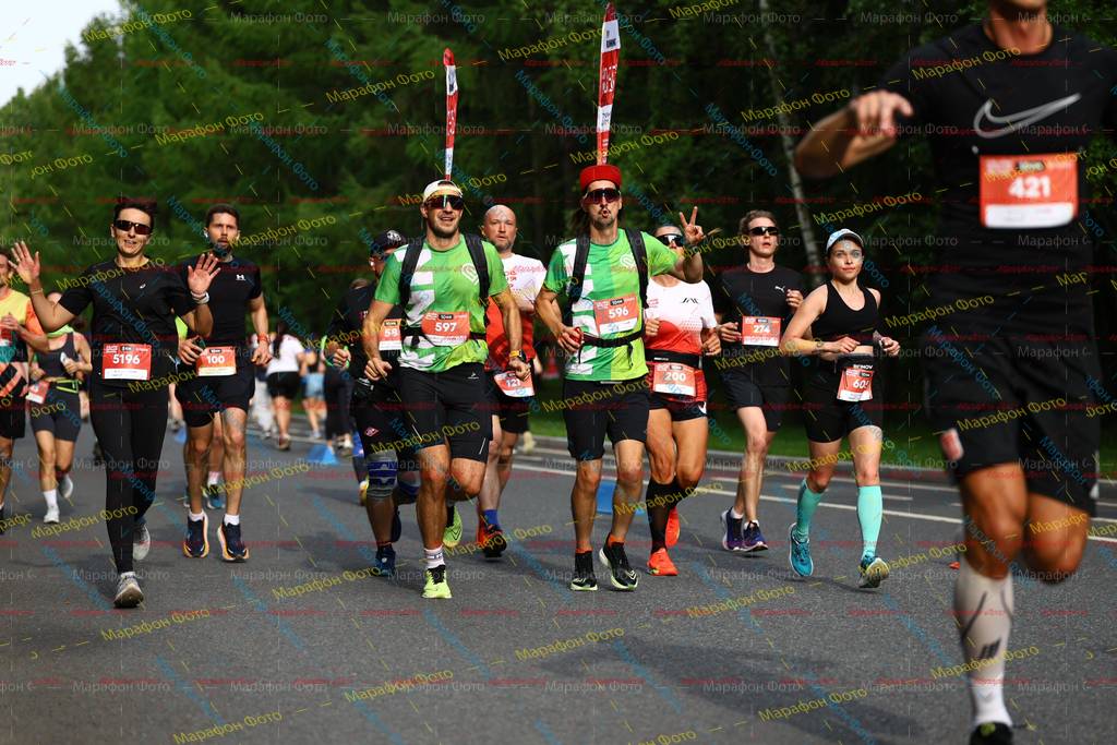 597, 596, 09, 5196, 100